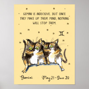Funny Gemini poster Zodiac Cat Star poster