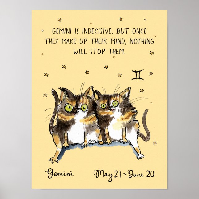 Funny Gemini poster Zodiac Cat Star poster (Frente)