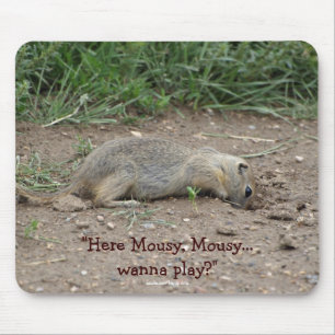 Funny Gopher, Prairie Dog Wildlife Mousepad