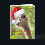©Funny Loing Ostrich Papais noeis Cartão De Férias<br><div class="desc">Um cartões de natal de um Papai noel da Nature,  com seu estranho olhar engraçado,  certamente trará sorrisos para o(s) destinatário(s) de um Feliz Feriado! Você pode adicionar a sua dentro de foto à placa e personalizá-la com seu próprio texto. Fotografia ©riverme*2012</div>