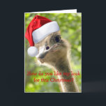©Funny Loing Ostrich Papais noeis Cartão De Férias<br><div class="desc">Um cartões de natal de um Papai noel da Nature,  com seu estranho olhar engraçado,  certamente trará sorrisos para o(s) destinatário(s) de um Feliz Feriado! Você pode adicionar a sua dentro de foto à placa e personalizá-la com seu próprio texto. Fotografia ©riverme*2012</div>