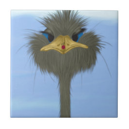 Funny Ostrich George E O Bonitinho Ladybug