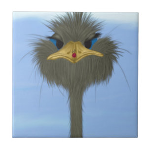 Funny Ostrich George E O Bonitinho Ladybug