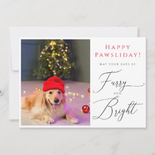 Furry e Bright Pet 3 Foto Cartão de férias engraça