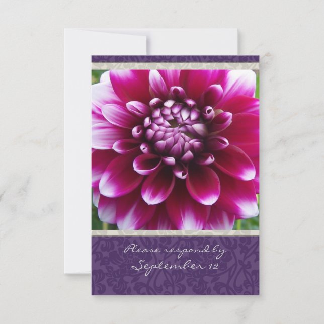 Fuschia Dahlia rsvp roxa com envelopes (Frente)