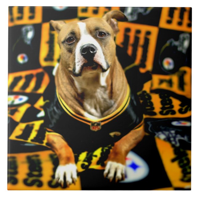 Futebol do Cão de Salvação Pitbull Fanático (Frente)