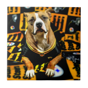 Futebol do Cão de Salvação Pitbull Fanático