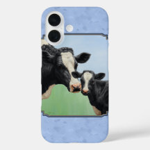 Fvitelo de raça pura e azul-Vaca