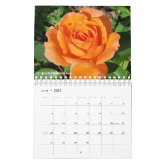 Gabby, o calendário do jardineiro de 2021