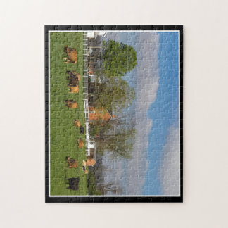 Gado que pasta o quebra-cabeça 11x14 por Thomas