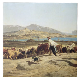 Gado que reune perto de Marselha, 1853 (óleo no
