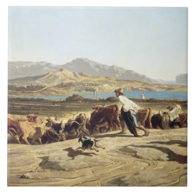 Gado que reune perto de Marselha, 1853 (óleo no (Frente)