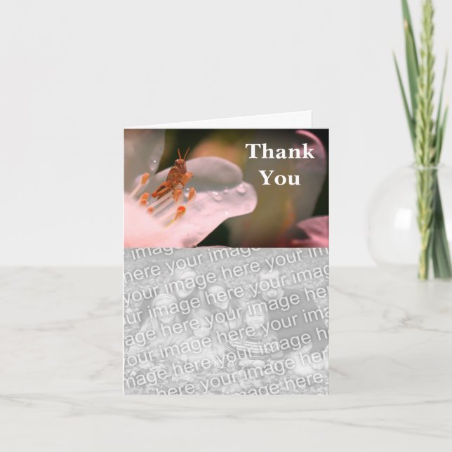 Gafanhoto Azalea Obrigado Cartão com fotos (Frente)