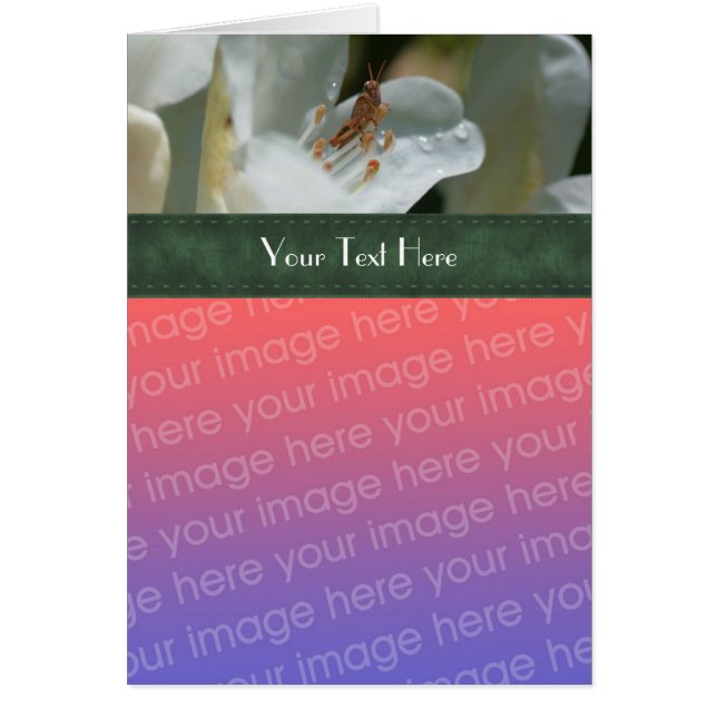 Gafanhoto E Azalea Cartão com fotos Floral (Frente)