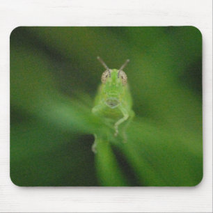 Gafanhoto Mousepad