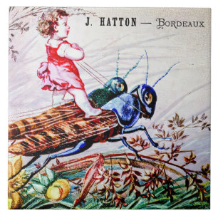 Gafanhotos-do-rio-criança