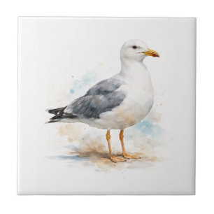Gaivota Ave Oceano Praia Aquarela Náutica