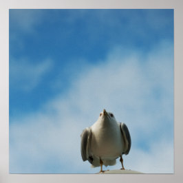 Gaivota-de-herring em Impressão