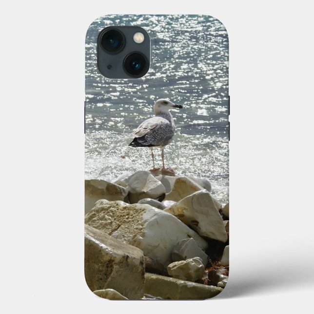 Gaivota e mar (Verso)