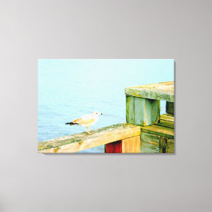 gaivota em canvas da doca