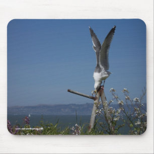 Gaivota Mousepad