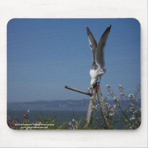 Gaivota Mousepad