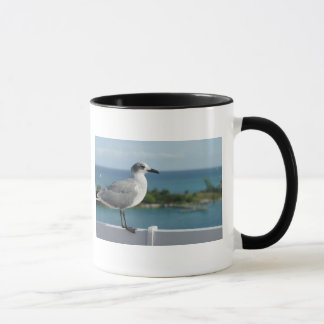 Gaivota na caneca do paraíso