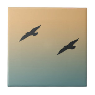 Gaivotas