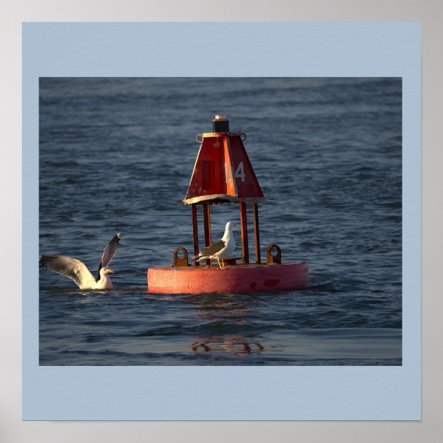 Gaivotas com Poster de Boia (Frente)