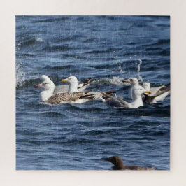 Gaivotas Em Oceanos Acrílicos Quebra-cabeça De Vas