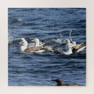 Gaivotas Em Oceanos Acrílicos Quebra-cabeça De Vas