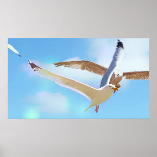 Gaivotas na Poster de Voo