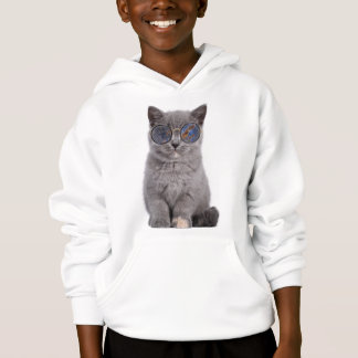 Galáctica Gaze o Gatinho Stellar em Óculos Solares