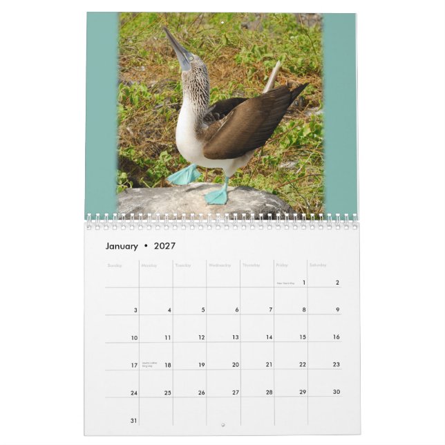 Galápagos! Calendário (Jan 2027)