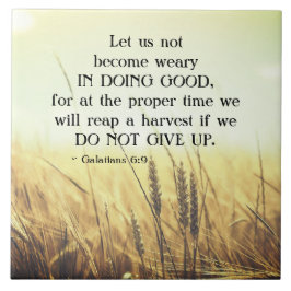 Galatianos 6:9 Não se cansem de fazer o bem