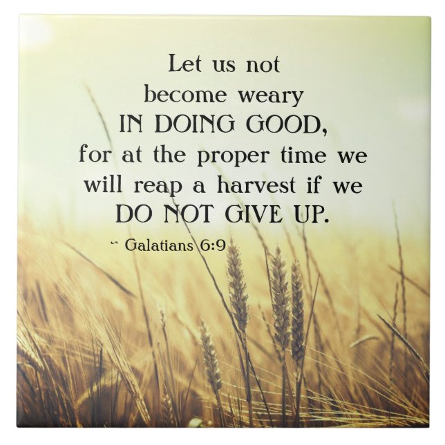 Galatianos 6:9 Não se cansem de fazer o bem (Frente)