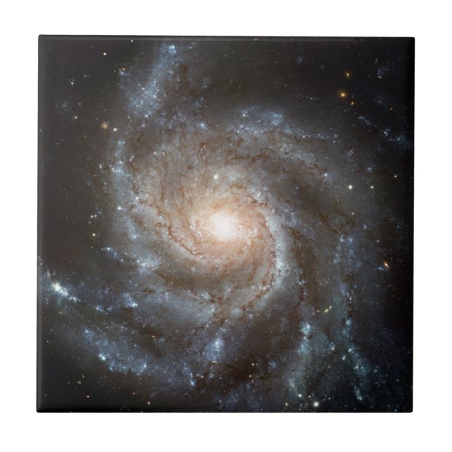 galáxia do Rodamoinho telescópio Hubble foto Espaç (Frente)