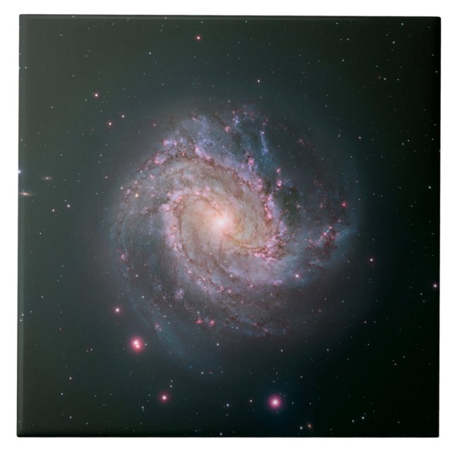 Galáxia Espiral M83 (NASA) (Frente)