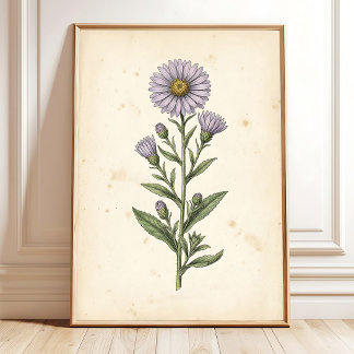 Galeria de Impressões Botânicas Vintage - Arte par