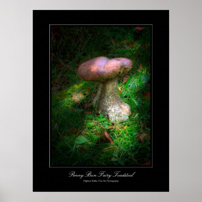 Galeria Penny Bun Fairy Toadstool estilo poster (Frente)