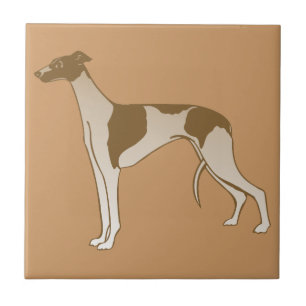 Galgo