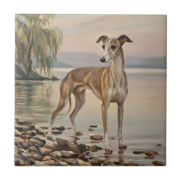 Galgo Italiano