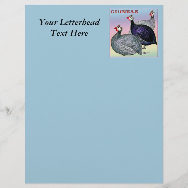 Galináceos da Guiné Três (Frente)