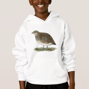 Galinha das codorniz do Coturnix