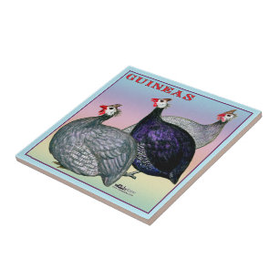 Galinha das Guinés três