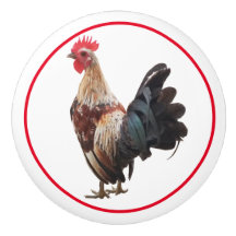 Galinha do Campo Russo