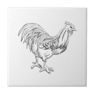 Galinha em Caneta e Tinta