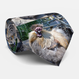 Galinha Feia, Gravata Do Pescoço