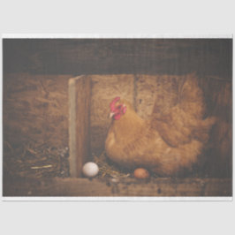 Galinha Galinha Fazenda Papel Tecido de Decodifica