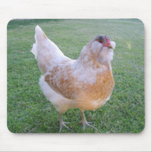 Galinha Mousepad de Egger da páscoa